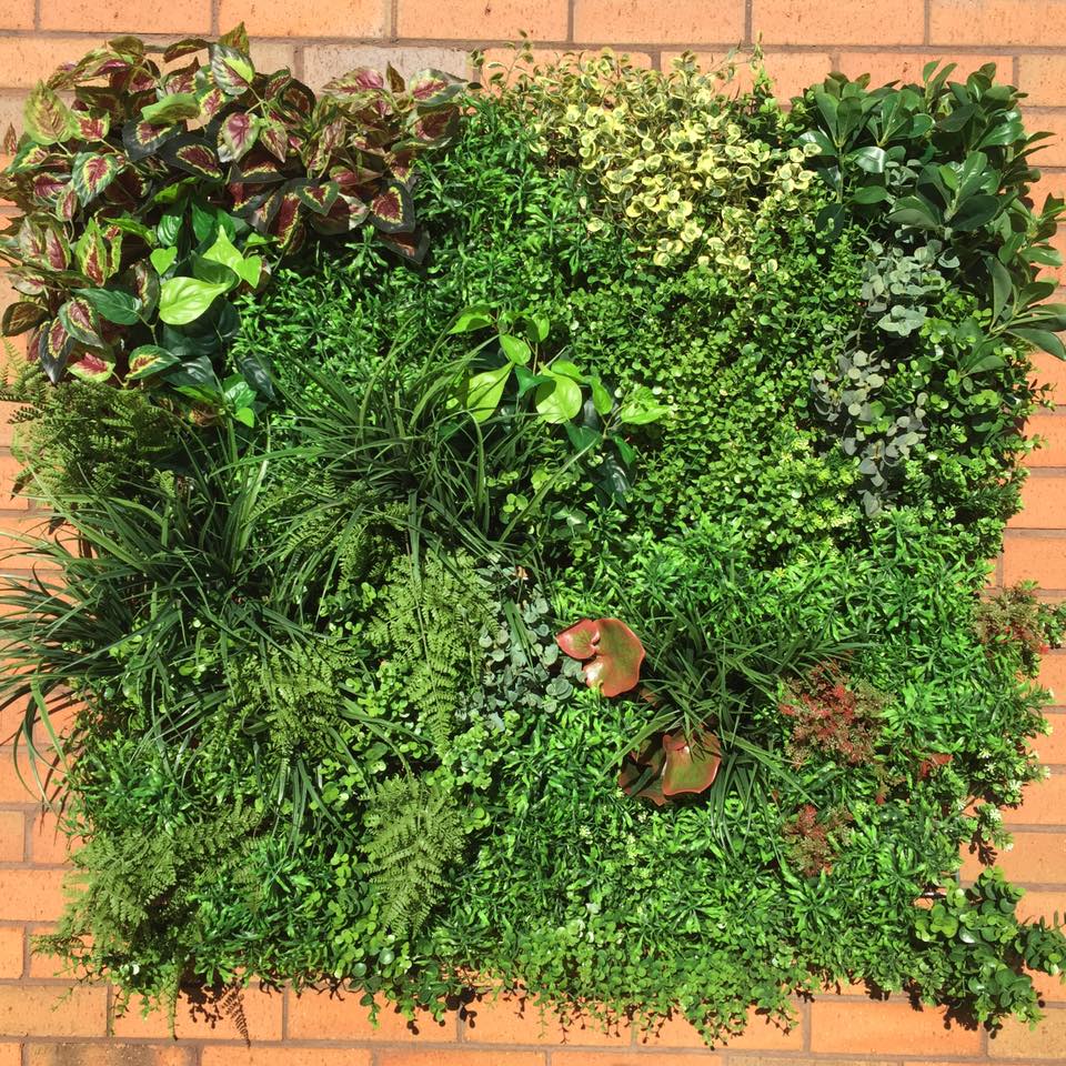 Go Green with a Living Wall