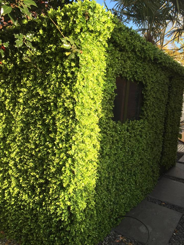 Disguising a garden shed as a hedge with artificial foliage