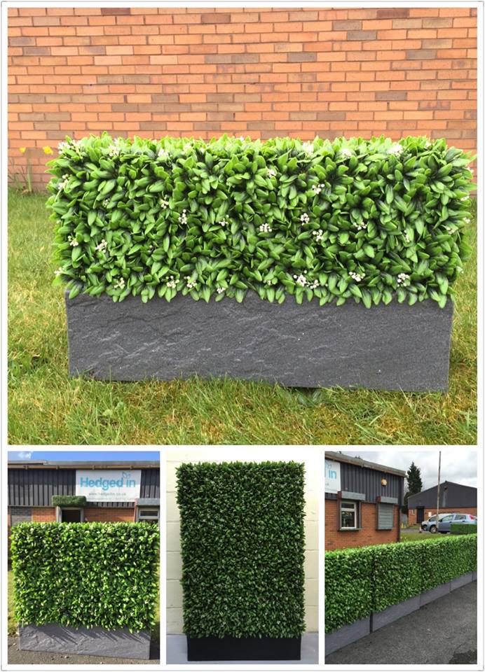 Hedged In – Reputation for Quality Artificial Hedges