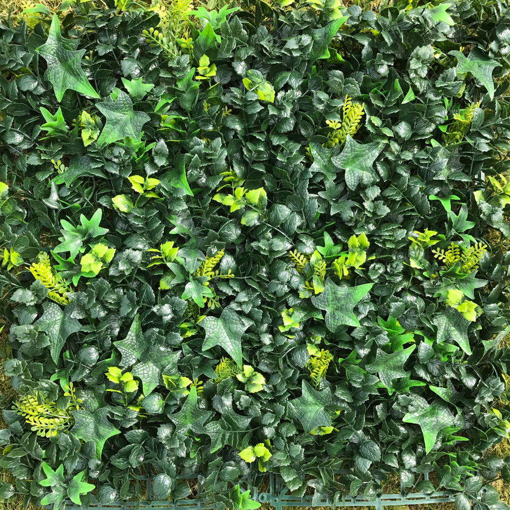 Artificial Ivy Bush 25cm x 25cm Sample - Hedgedin