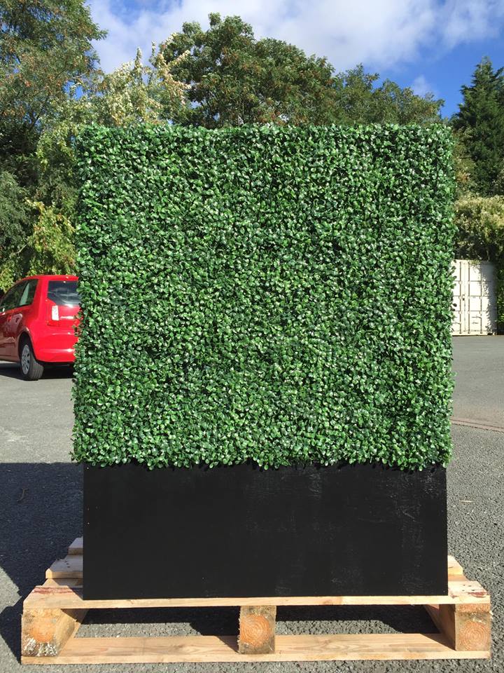 Ready Made Artificial Boxwood Hedging Planters Available To Buy Now