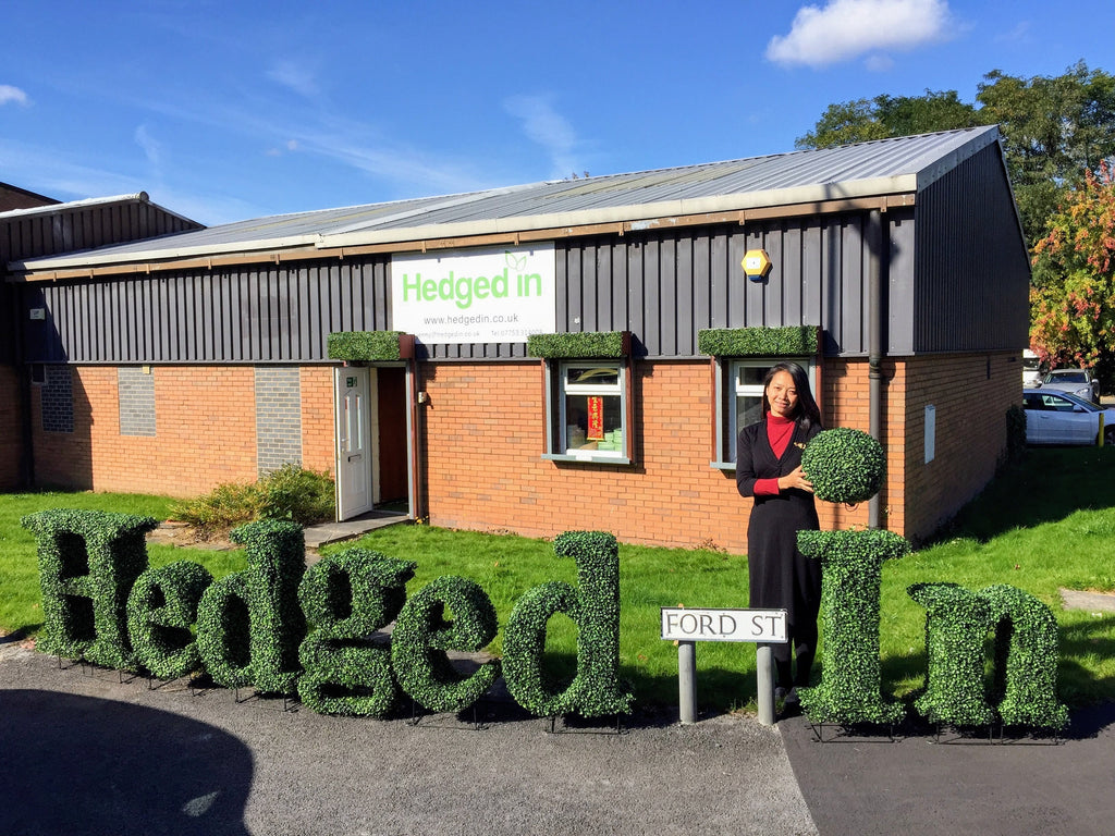 A Decade of Design Leadership 🌿