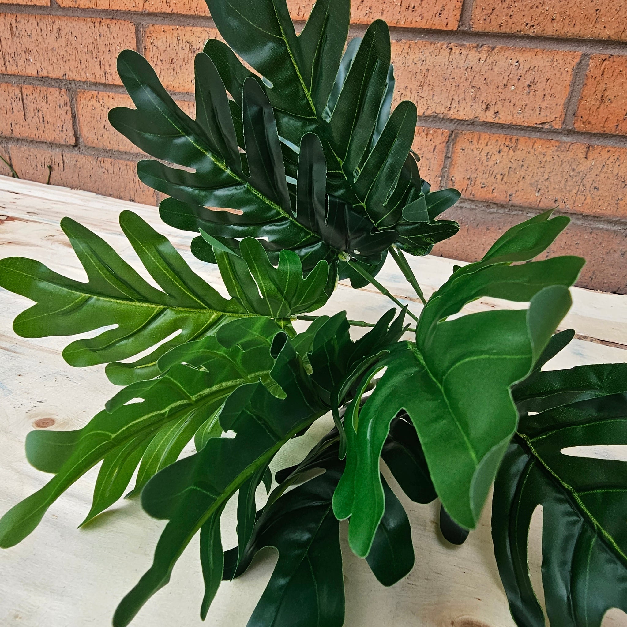 Artificial Cheese Plant 30cm Hedgedin