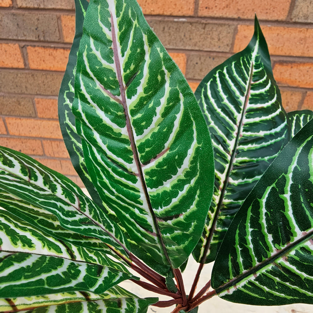 fake prayer plant Artificial Prayer Plant – Hedgedin