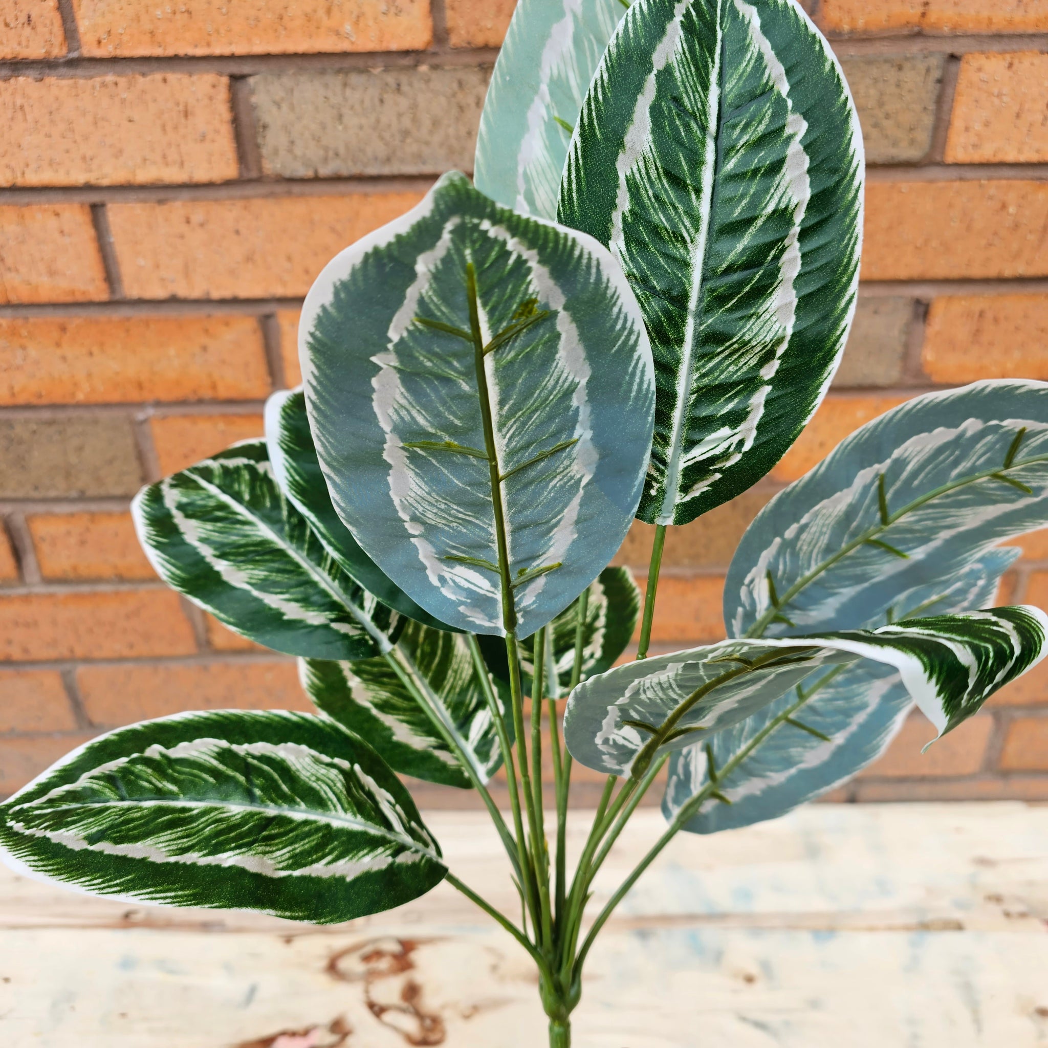 Artificial Chinese Evergreen Hedgedin