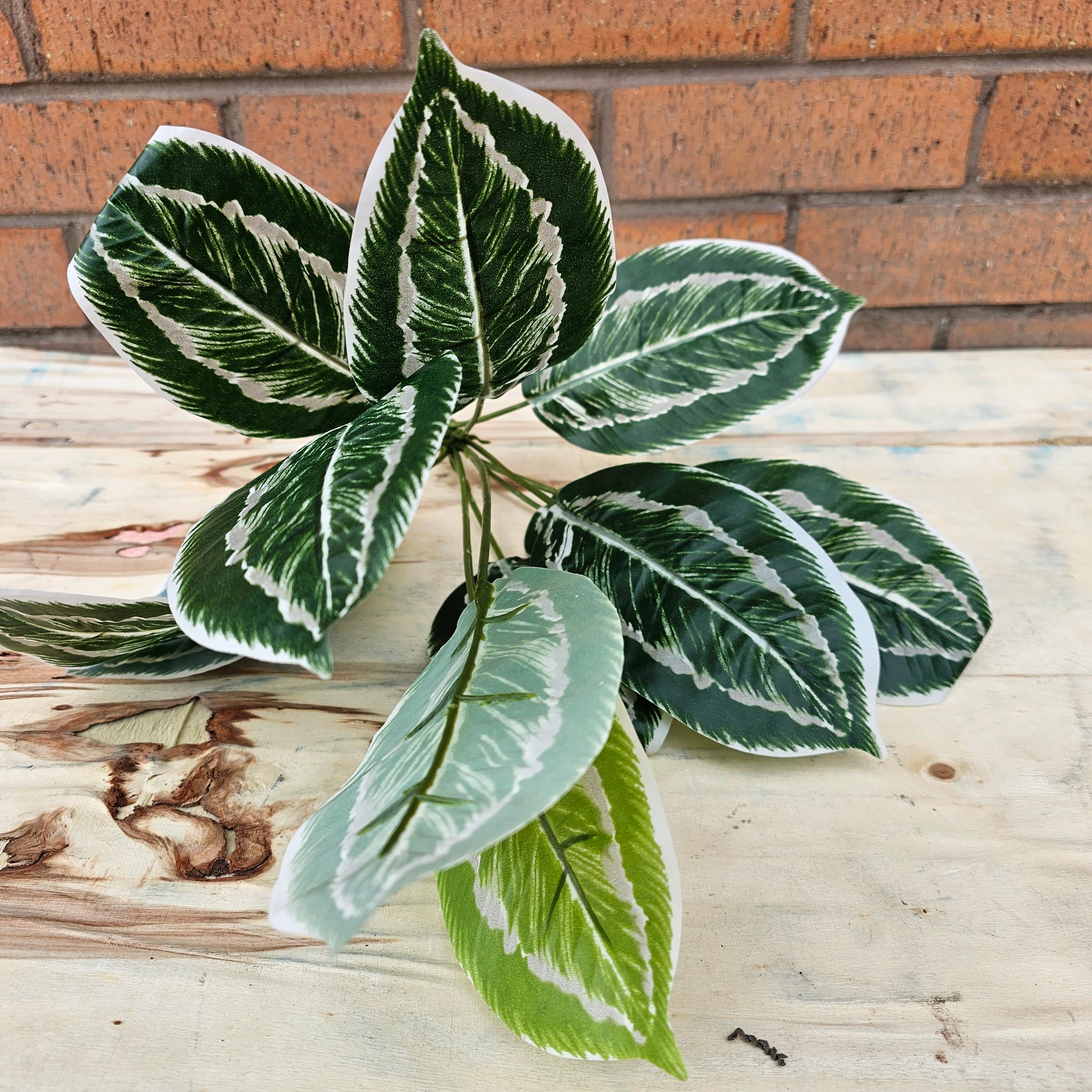Artificial Chinese Evergreen Hedgedin