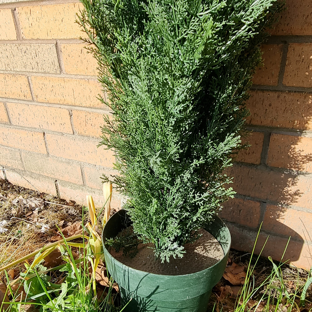 Artificial Italian Cypress Tree Hedgedin