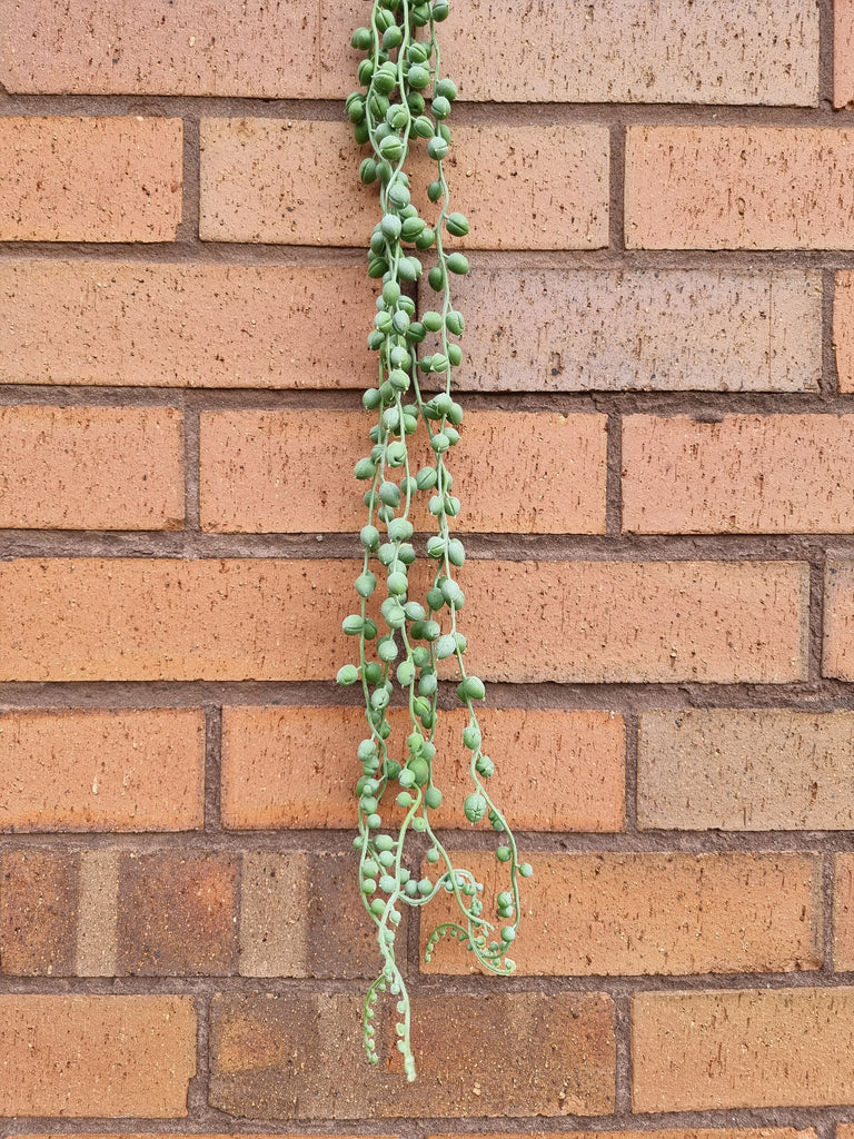 Artificial String of Pearls 80cm