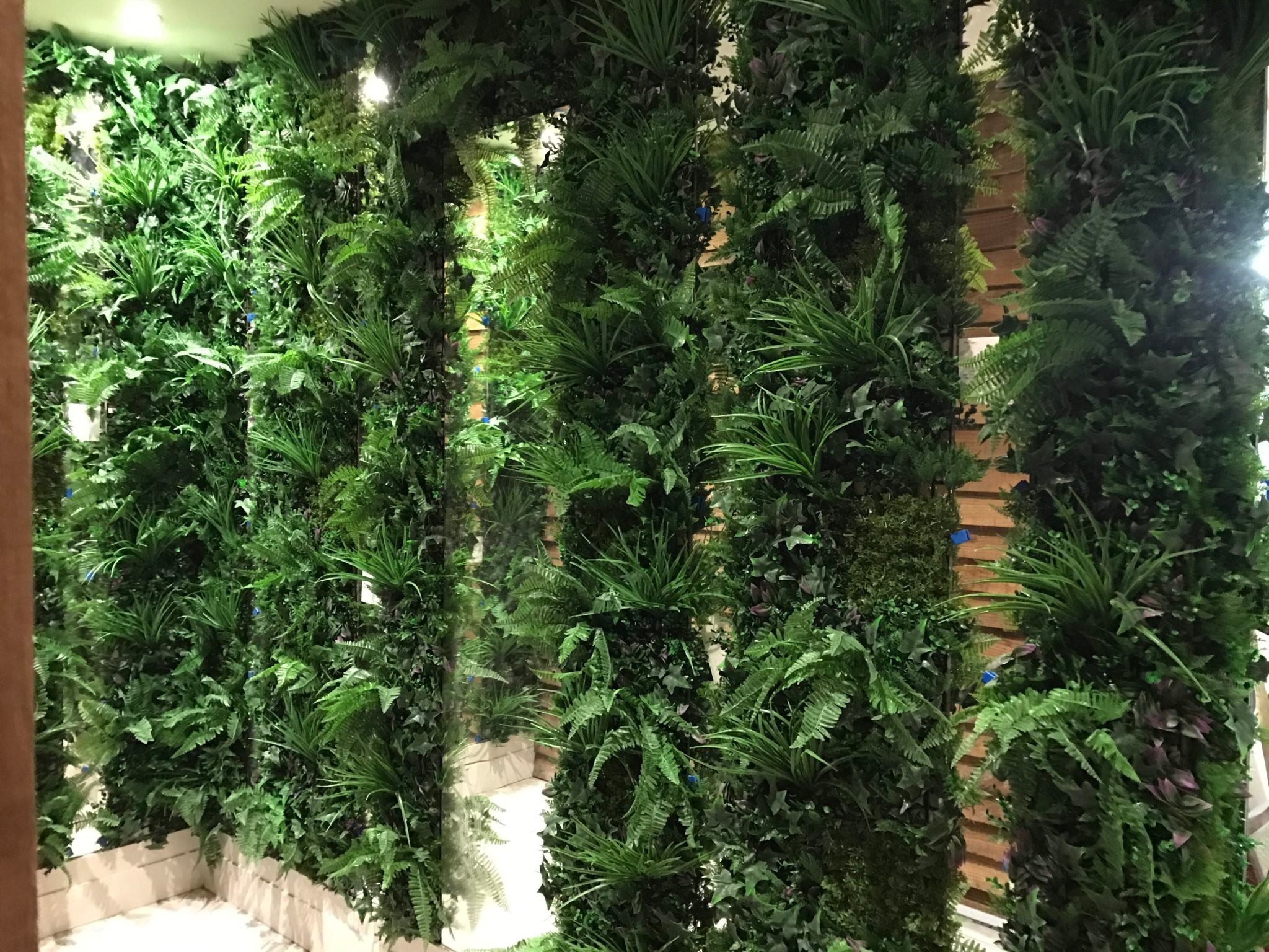 Artificial Instant Green Wall Hedge Panel Mixed Plants 100cm X 100cm ...